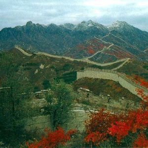 Meet your Posher, Michele